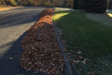 Seasonal Cleanups