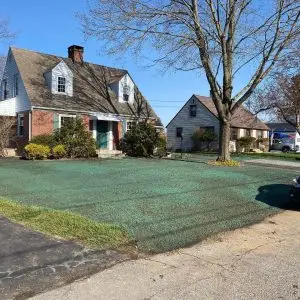 Front Lawn full hydroseed