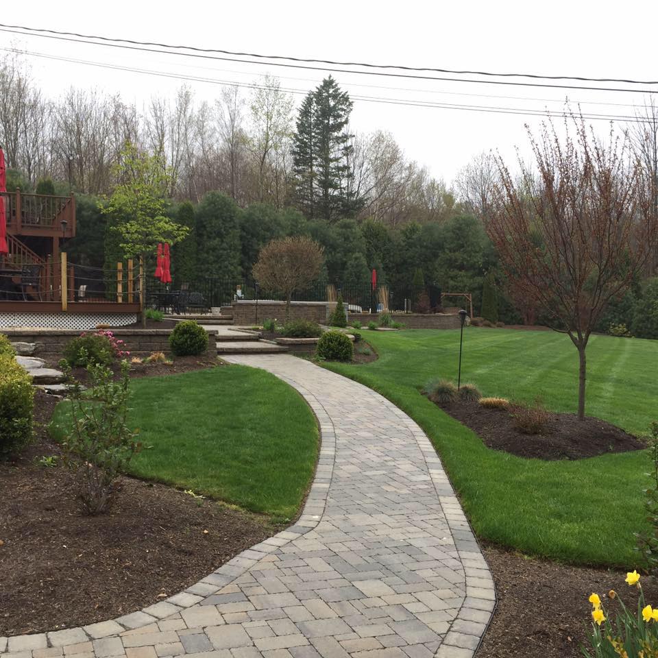 Pristine backyard and walkway